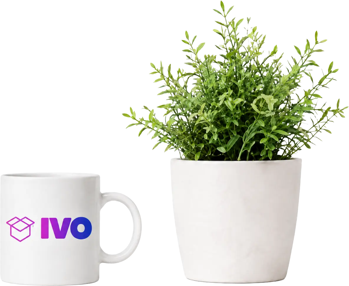 Cutii IVO.md